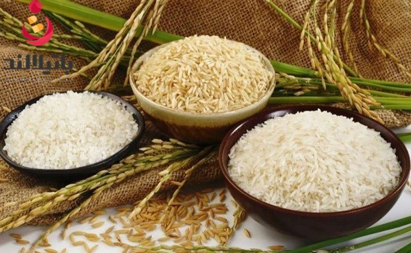 خرید برنج ایرانی و خارجی